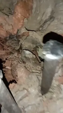 #الشعب_الصيني_ماله_حل😂😂 #هاشتاج_العرب__تيك__توك 