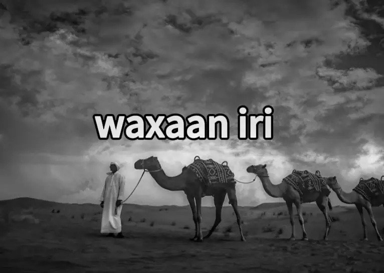 Allahayow yaana ubukoonin nimaan i bogsiinayn. amiinta ku dara. #somalitiktok #gabay #fypシ゚ #viralv #for 