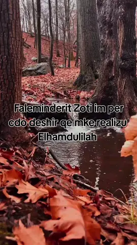 #faleminderitzot🙏🏼 #allahuakbar3x❤️❤️ 