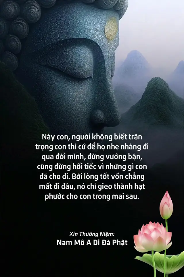 #adidaphat #phatphapnhiemmau 