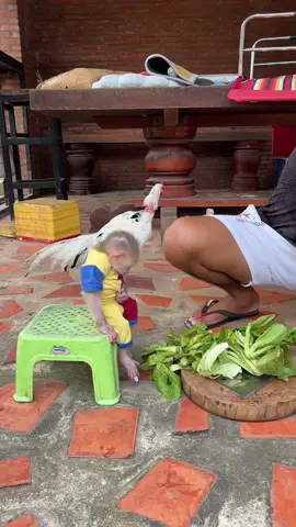 Baby Chamroeun Sit Accompany Daddy c-it Vegetables for Chicken#monkey #fypシ゚viral #viralvideo #tiktoker #monkeys 