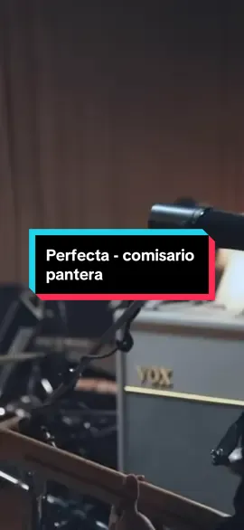 Todo es genial desde que yo te conocí.. Perfecta historia de amor 🥰  Perfecta - comisario pantera #indie #musica #comisariopantera #paratii #rock