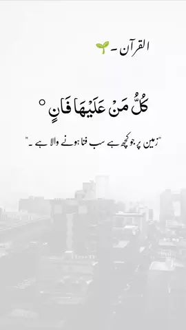 Beautiful Islamic Video 🥀  #IslamicPosts  #QuranQuotes  #NamazReminder  #HadithOfTheDay  #IslamicKnowledge 