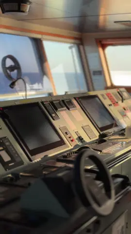 😎⚓️🚢 #lifeatsea #maritime #bridge #seaman #seafarer