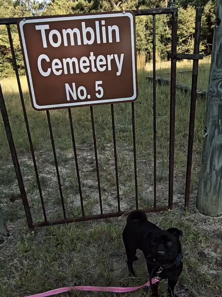 #militarycemetery #cemetery #oldcemetery #fortbenning #fypシ 