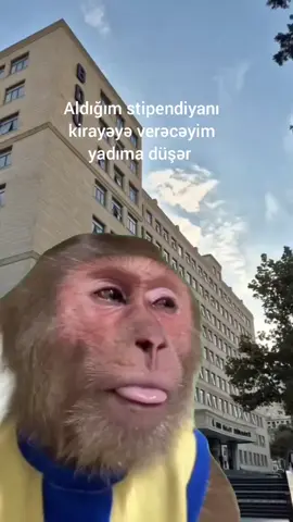 Kirayədə qalanların gözü yaşlı 😂 . . . #kəşfet #telebe #serbestis #sərbəstiş #sərbəstişlər 
