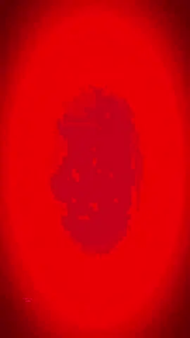 #CapCut 