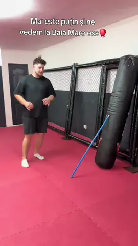 #@Sorin Terec #@Danut #@Pitbul Grad #MMA #2VS2 # @FlaviuBuzaș🎭 #@Tolea Ciumac #@nftviral #kickboxing #challenge #viralltiktok 