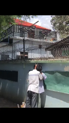 အနိုင်ကျင့်ကြည့်တာ😔 #viewsproblem😭 #fyppppppppppppppppppppppp #fyppppppppppppppppppppppp #fypシ゚viral🖤tiktok #1millionaudition 