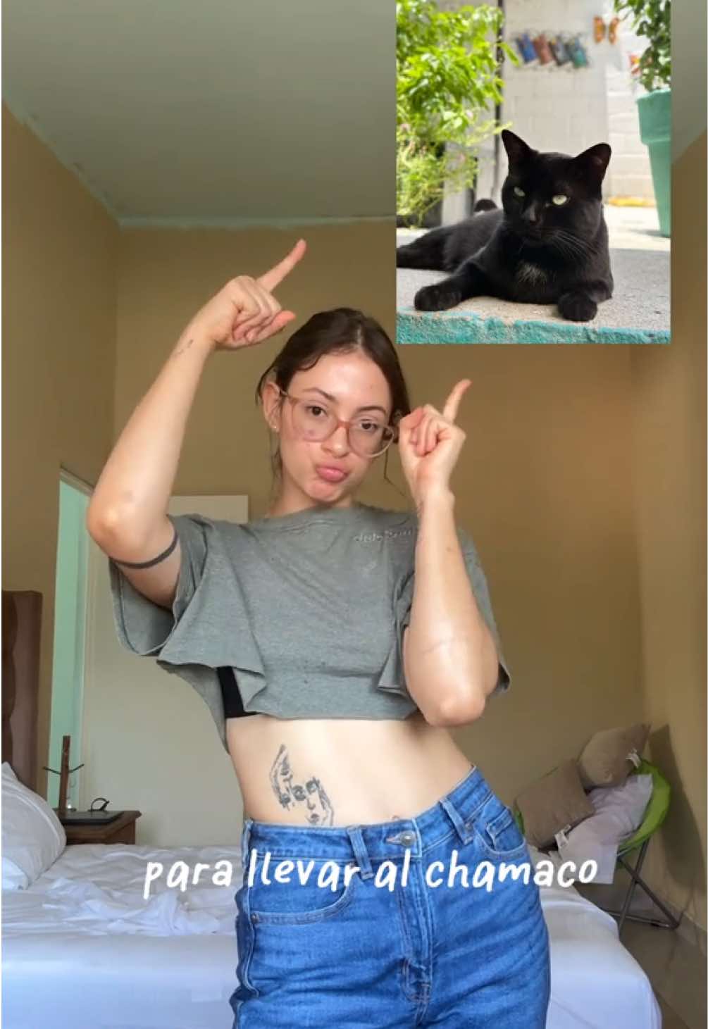 #fyp #gatos #gatonegro #risas 