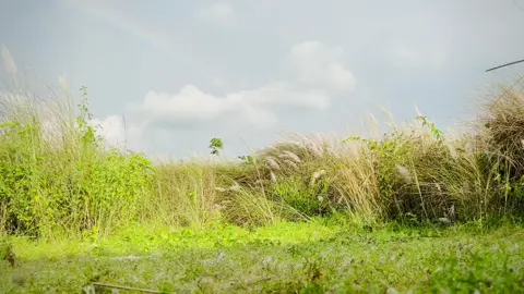 @Unknown 😎 @👑TOWHID VAI👑  srk 😃😃😂😆🤣