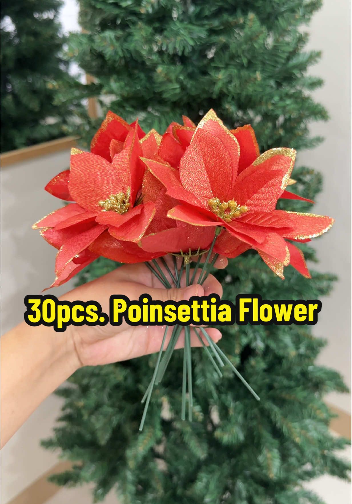 Ang dami nito 30pcs may sobra pa ko 🥰 #christmasflowers #christmaspoinsettia #redpoinsettia #poinsettia 