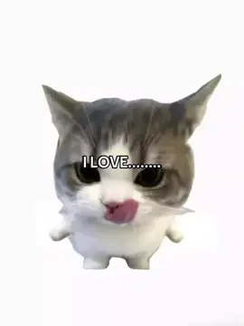 I love #matchaaaaa #fypppppppppppppppppppppp 