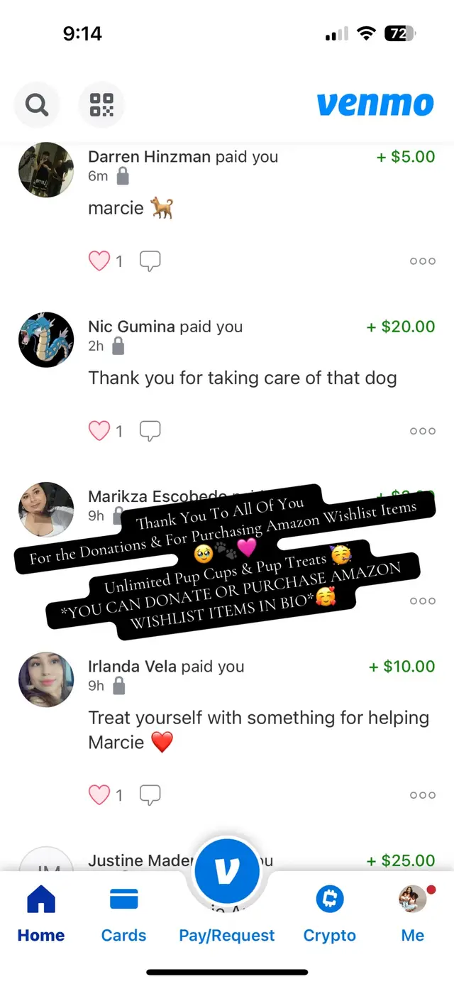 We love you !! Thanks to all the new supporters and the old. I will be going live with Miss. Marcie soon. 🐾💗 #dumped #dogsoftiktok #viral #dogs #fyp 