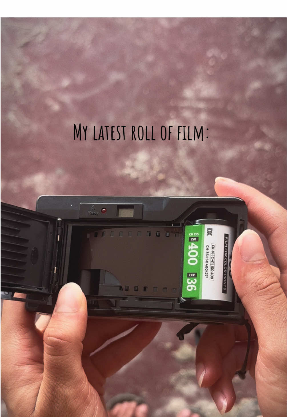 My latest roll of film 🎞️  #filmphotography #photography #צילוםפילם #צילום #fyp 