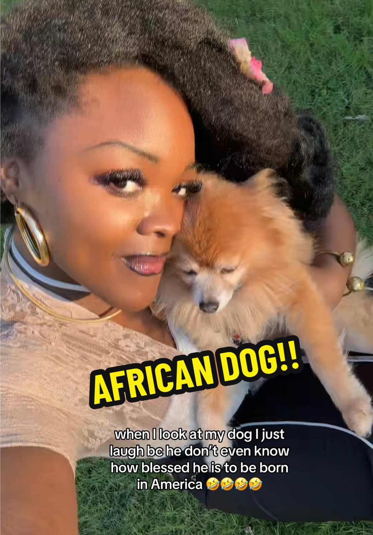 African dog 🤣🤣🤣 he’s so spoiled bro..   bc the way they treat dogs in Cameroon 🤣🤣 let me not laugh  my aunties be asking me why would I touch an animal sotey hold ei like pikin 🤣