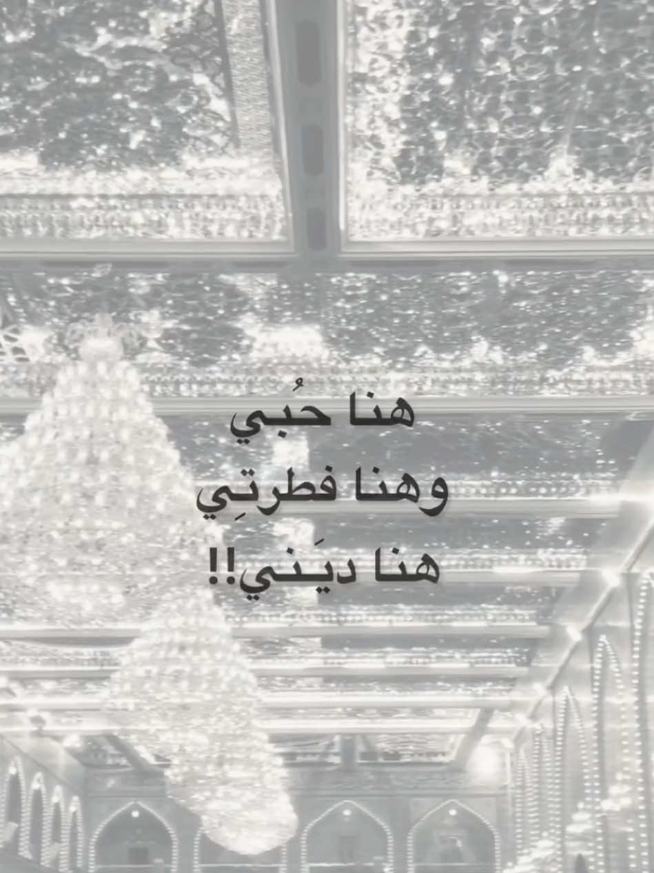 هنا حُبي || #محمد_باقر_الخاقاني 