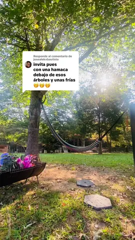 Respuesta a @josealekxbautista  Sin duda alguna no podría falta 🌳