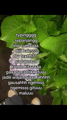 cuma mau di hargain aja 