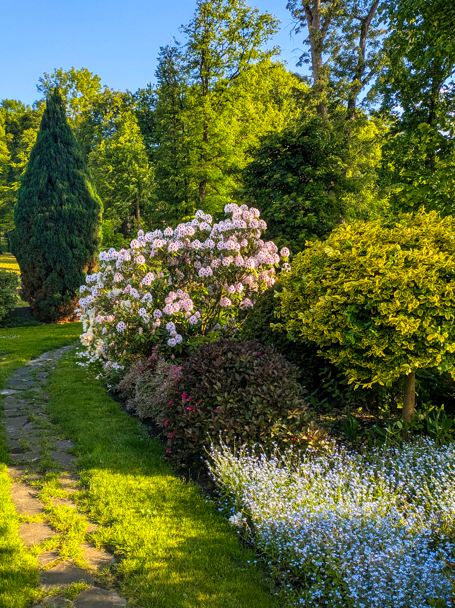 this and no stress is all I want 🤍