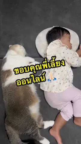 พี่เลี้ยงออนไลน์เลี้ยงน้องกันมา 10 เดือนแล้ววนะ 🥹 #พี่มังคุดน้องขนุนน้องจินนี่ #มังคุดแมวหน้ากลม #มังคุดแมวอ้วน 