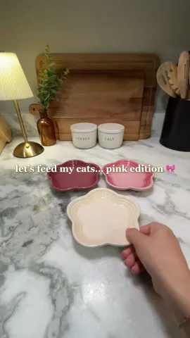 Starting the morning with a pink-themed breakfast for the cats 🎀🐾 They didn’t care about the theme, just that their bowls were full and yes, every plate was licked clean 💖 #cattok #feedmycat #catfood #catnutrition #catproducts 