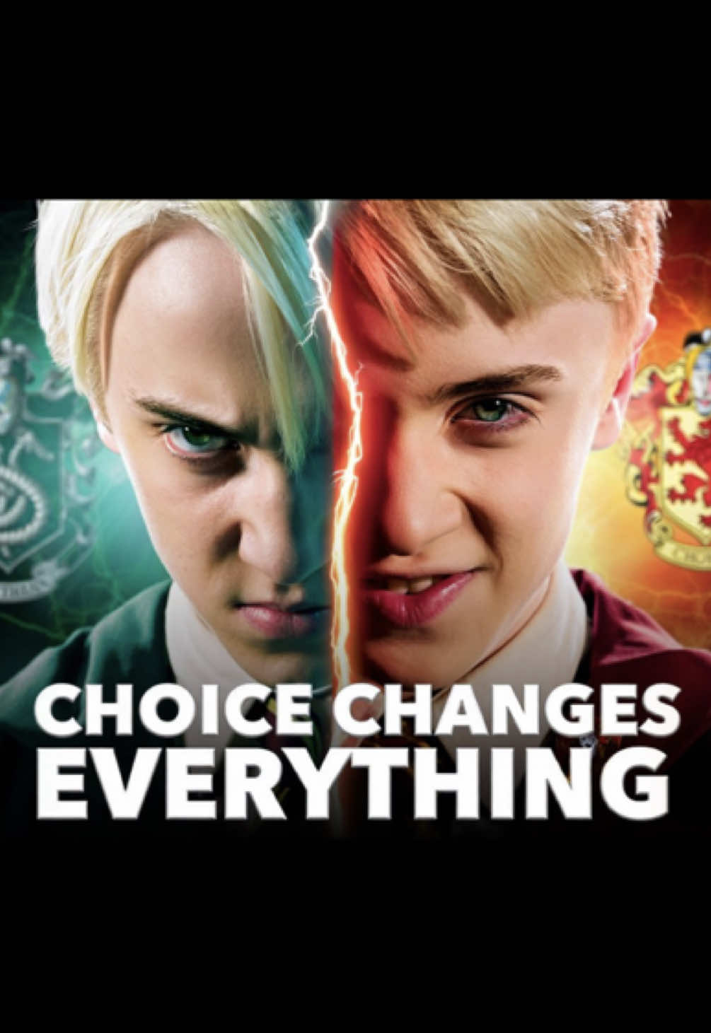 What If Draco Was Sorted Into Gryffindor? 🦁✨ you can watch more my videos here: youtube/dramionestudio #dramione #dramionefanfic #dracomalfoy #hermionegranger #hogwarts