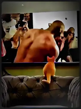 Kung fu cat🔥🔥🔥#edit #animals #cat #catlover #trending 