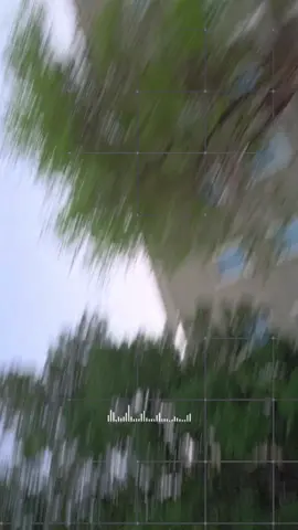 #الجمهورية_اليمنية #المملكه #نجران_يام #fyp #جيزاني 