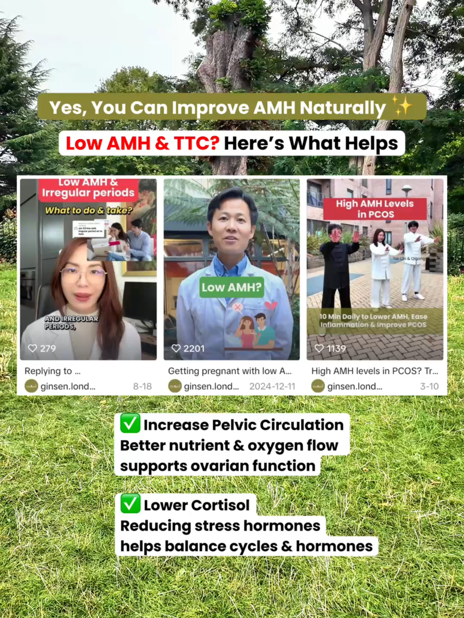 Struggling with low AMH and wondering “can you naturally raise AMH levels?” The answer isn’t simple—but yes, you can support it! Key steps include: • Improving pelvic circulation through movement • Reducing stress (hello cortisol!) with gentle routines • Supporting ovarian health with exercise, diet, Vitamin D, CoQ10, omega-3s, and stress relief like meditation or yoga Try this routine: 3 sets × 15–20 reps, 2 hrs after meals ⏰ Daily movement may help improve hormone balance, ovarian function, and overall fertility. #raiseyourAMH #naturalAMHboost #lowAMHandTTC #boostfertilitynaturally #hormonebalance #pcos #pelviccirculation #StressRelief #eggquality