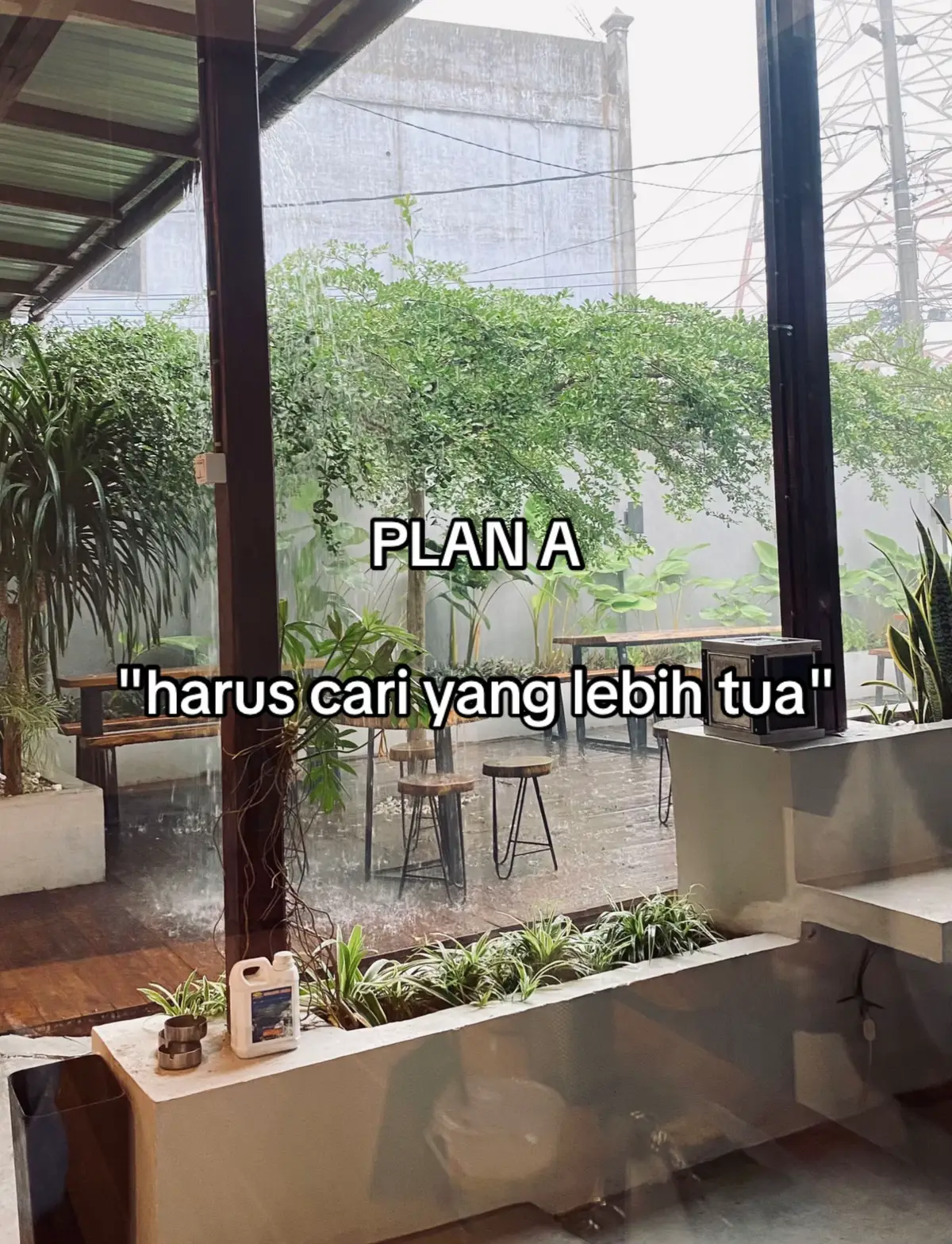 @pani kecantol brondong😾
