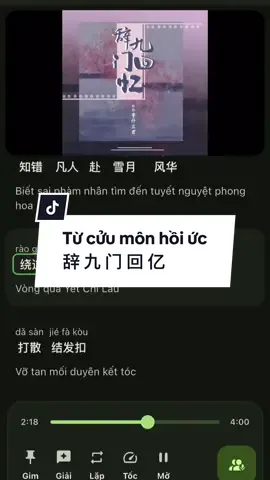 Học tiếng trung qua bài hát: Từ cửu môn hồi ức ｜ 辞 九 门 回 亿 “ Ta đóng chín cổng thành, mà quên khoá trái tim”  #tucuumonhoiuc #辞九门回忆 #dangthapmaquan #nhaccophong #等什么君 #douyinmusic #fyp #nhactrung 