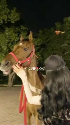 #مجرد_ذووقツ🖤🎼 