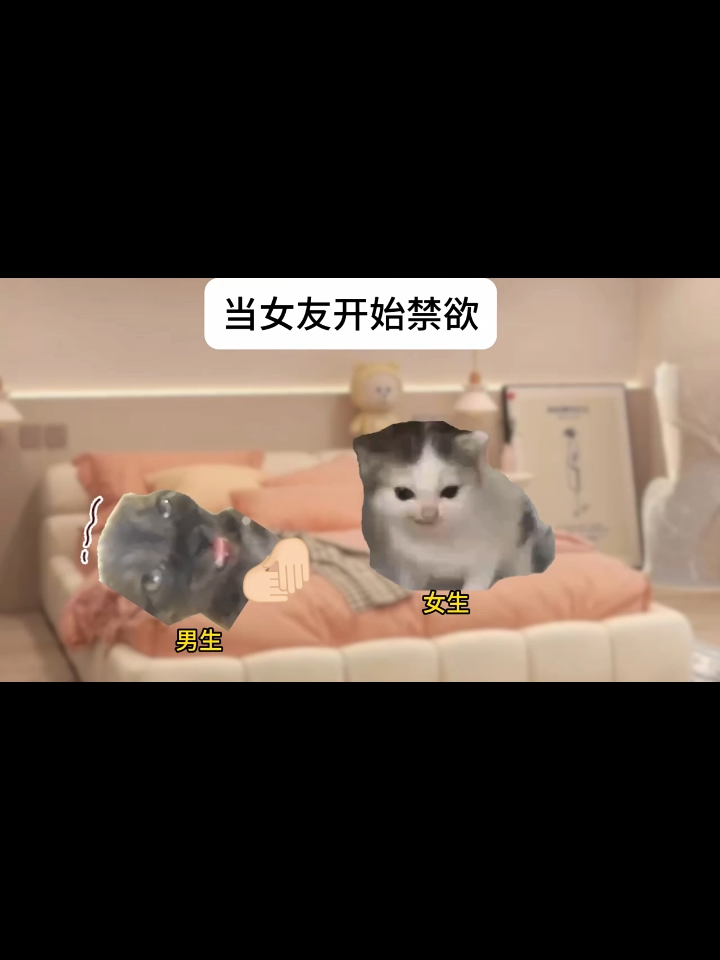 当女友开始禁欲 . . . . #猫meme #00后 #热门 #funny #catmeme #真实还原 #猫meme小剧场 #万万没想到 #内容过于真实 #搞笑 #fyp #抽象 #离谱 #搞笑小剧场