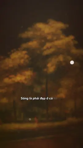 Sống là phải đẹp ở cái Tâm, chứ đừng Thâm ở cái đầu.....😊😊!!! #tamtrangcuocsong #trietlysong #suyngam #xuhuongtiktok #fyp 