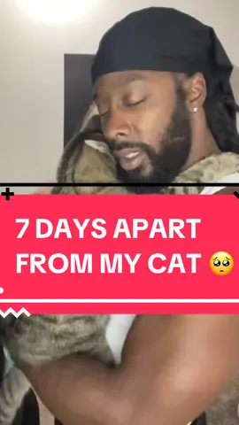 You Won't Believe How My Cat Reacted After 7 Days Apart! 🐾❤️ #CatReaction #CuteCat #CatLovers #lovemycat #cutecatvideos 