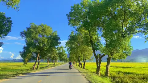 7 Năm rồi nhanh quá!😂  Con đường tự lập luôn thử thách, muốn trưởng thành phải tiến bước vượt qua...