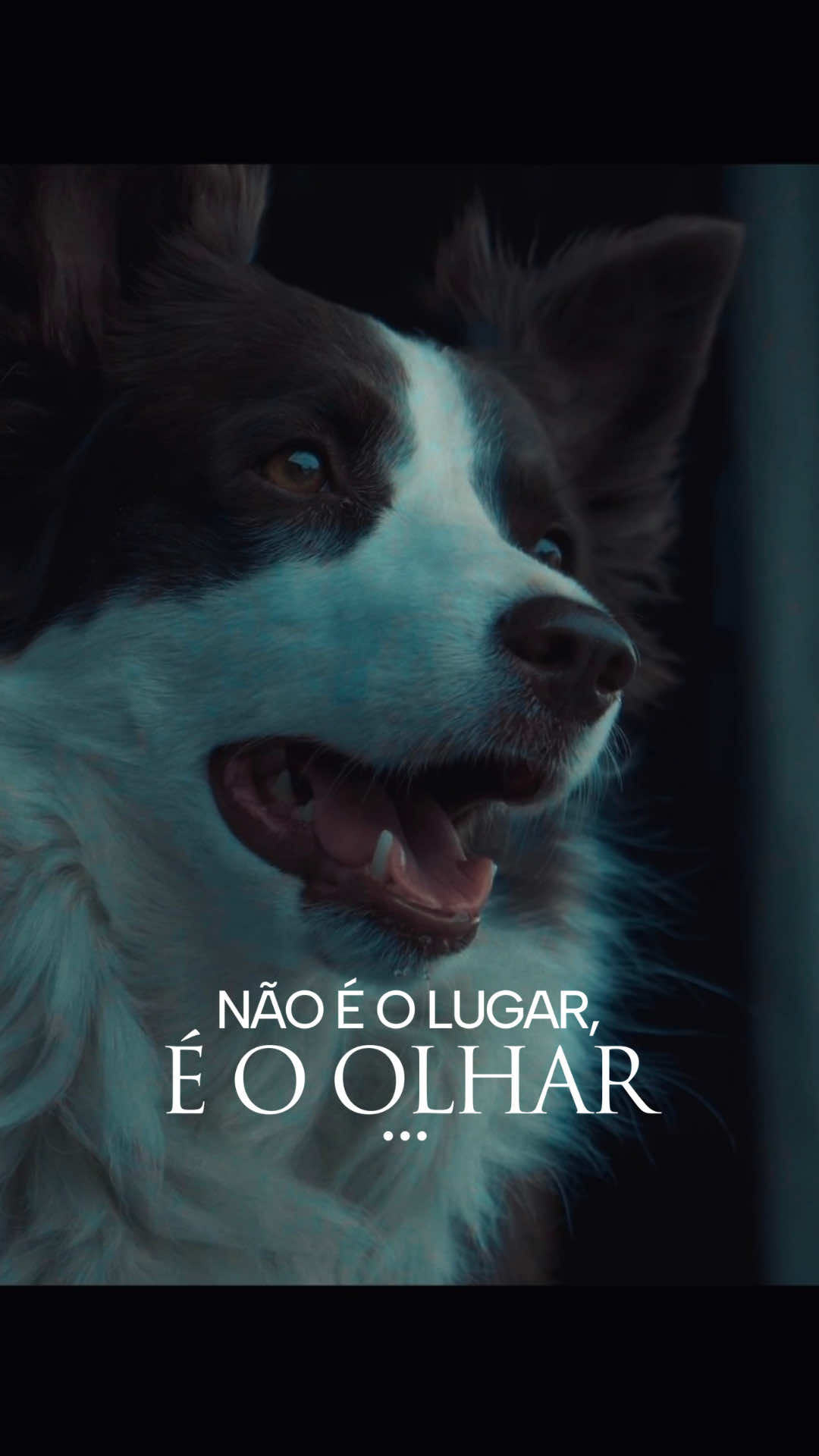 Ver o que ninguém viu.  #sony #zve10 #tamron1770 #fyp #cinema 