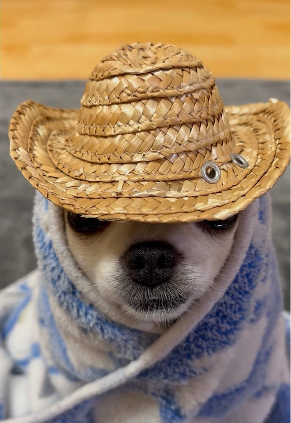 This ain't Texas 🤠