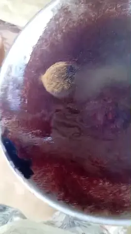 Con todo 😎🤑#puertomaldonado #mineria #lapampa #MDD #paratii  