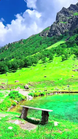 Crystal Lake Domel🤩𝗗𝗠 𝗳𝗼𝗿 𝗖𝘂𝘀𝘁𝗼𝗺𝗶𝘇𝗲𝗱 𝗮𝗻𝗱 𝗽𝗿𝗶𝘃𝗮𝘁𝗲 𝗧𝗿𝗶𝗽 𝘁𝗼 𝗣𝗮𝗸𝗶𝘀𝘁𝗮𝗻 🇵🇰  𝟓,𝟔,𝟕,𝟖,𝐝𝐚𝐲𝐬 𝐏𝐚𝐜𝐤𝐚𝐠𝐞𝐬 𝐀𝐯𝐚𝐢𝐥𝐚𝐛𝐥𝐞. We will design your tours according to your demands.  Families, Couples & groups can join us. 𝐂𝐚𝐭𝐞𝐠𝐨𝐫𝐢𝐞𝐬 𝐨𝐟 𝐚𝐯𝐚𝐢𝐥𝐚𝐛𝐥𝐞 𝐏𝐚𝐜𝐤𝐚𝐠𝐞𝐬: (𝐀)𝐒𝐭𝐚𝐧𝐝𝐚𝐫𝐝 𝐏𝐚𝐜𝐤𝐚𝐠𝐞 (𝐁)𝐃𝐞𝐥𝐮𝐱𝐞 𝐏𝐚𝐜𝐤𝐚𝐠𝐞 (𝐂)𝐏𝐫𝐞𝐦𝐢𝐮𝐦 𝐏𝐚𝐜𝐤𝐚𝐠𝐞 Same packages available for 𝐇𝐮𝐧𝐳𝐚 site as well. 5 Days & 4 nights by air (customized and private)trip to Skardu valley. 𝗪𝗵𝗮𝘁 𝘁𝗵𝗲 𝗣𝗮𝗰𝗸𝗮𝗴𝗲 𝗶𝗻𝗰𝗹𝘂𝗱𝗲𝘀? 🔹Return tickets Islamabad-skardu-Islamabad 🔹Hotel Accommodation 🔹Private transport (Car/Prado) for sightseeing in Skardu & surroundings  🔹Breakfast  🔹Local Tour Guide  🔹Fuel expenses 🔹jeep 🔹photography  𝗠𝗮𝗶𝗻 𝗔𝘁𝘁𝗿𝗮𝗰𝘁𝗶𝗼𝗻𝘀 𝘁𝗼 𝗘𝘅𝗽𝗹𝗼𝗿𝗲 𝐃𝐚𝐲 𝟎𝟏 Kachura valley  Shangri-La lake  Upper kachura lake Xhoq valley 𝐃𝐚𝐲 𝟎𝟐 Shigar fort  Blind lake  Sarfaranga cold desert Explore Skardu Bazar  𝐃𝐚𝐲 𝟎𝟑 Kharmang valley  Manthokha waterfall  𝐃𝐚𝐲 𝟎𝟒 Satpara lake Satpara valley  Deosai top Bara pani Kala pani Shosar lake 𝐃𝐚𝐲 𝟎𝟓  Back to home 𝗦𝘁𝗮𝗻𝗱𝗮𝗿𝗱 𝗣𝗮𝗰𝗸𝗮𝗴𝗲  𝗙𝗿𝗼𝗺 𝗜𝘀𝗹𝗮𝗺𝗮𝗯𝗮𝗱 110,000/ per head  220,000/ couple 𝗙𝗼𝗿 𝗕𝗼𝗼𝗸𝗶𝗻𝗴 𝗖𝗮𝗹𝗹 / 𝗪𝗵𝗮𝘁𝘀𝗔𝗽𝗽: +923425060424 +92355-4776234 #foryou #foryoupage #viral #gbtours #incrediblegb #pakistantours #northpakistantour #travelwithgbtours #exploreskardu  #foryoupage #foryou #viral #unfrezzmyaccount #beach #traveltok #vacation #Hiking #beachvibes #disneytok #solotravel #hotel #viralvideo