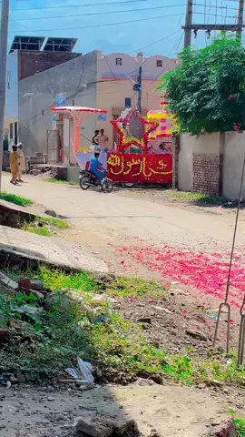 #growmyaccount #foryoupage #aligill5911 