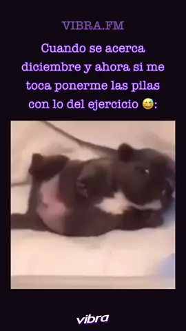 En proceso… 😅  #Humor #Meme #Ejercicio 