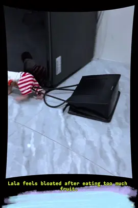 Lala feels bloated after eating too much fruit. #lalamonkey #bibi #babymonkey #bunfamily 