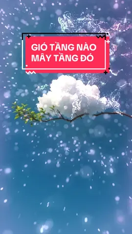 Gió tầng nào - mây tầng đó #trietlycuocsong #mayman #giauvatchat #thuhuttienbac #giautoandien 