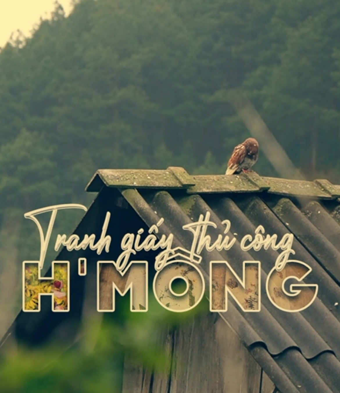🖼️  Bạn chưa biết về loại tranh giấy độc đáo này của người H’Mông? Để mình kể cho bạn nghe nhé! #dulichtaybac #dantochmong #tranhgiay #dantocvungcao 
