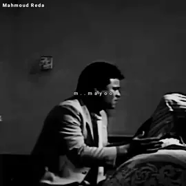 المشهد ده جميل جداً .. وبالوالدين إحسانا