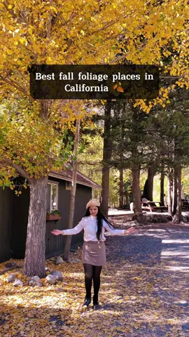 Fall season is just a month away, and this is how California will look like in October🍁🍂 Eastern Sierras is the best place to see Fall Colors in California. Usually mid October is the best time to visit. This year peak color prediction is from October 13-20 (not accurate, it might change early or late), if you are planning to go, plan during this time!!  📍Mammoth Lakes: You can find Yellow and Orange trees everywhere around Mammoth Lakes. Some major locations are 🍂Convict Lake  🍂Twin Lakes  🍂Mcgee creek  🍂Rock Creek  📍June Lake Loop: The June lake loop drive itself is beautiful in the Fall. Gull Lake and Silver lake have beautiful fall colors around them. 🍂June Lake  🍂Gull Lake  🍂Silver Lake  📍Bishop: Many Parts of Bishop also change into yellow trees.  🍂Bishop Creek  🍂North Lake  You can see peak foliage this weekend, so plan your trip to the Eastern Part of California this fall🍂🍁 Fall in California, eastern sierra, highway 395, Fall season in California, Fall trip ideas in California #fall#fallroadtrip#fallfoliage#fallvibes🍂 #california  