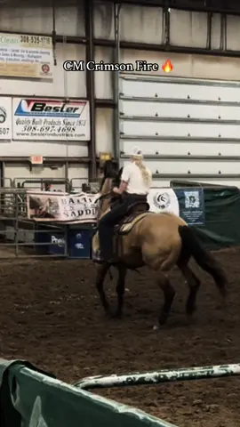 Once in a blue moon I get to run my favorite mare 🤍 #barrelracer #barrelhorse #jackpot #fyp #foryou 