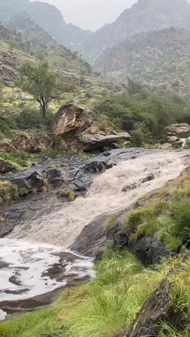 #اللهم صلِ وسلم على رسول الله #يوم الجمعة 